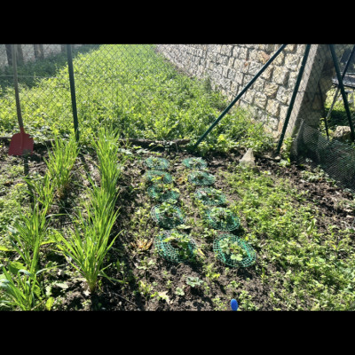 Garten mit Anbaubeet