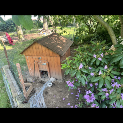 Hühnerhaus